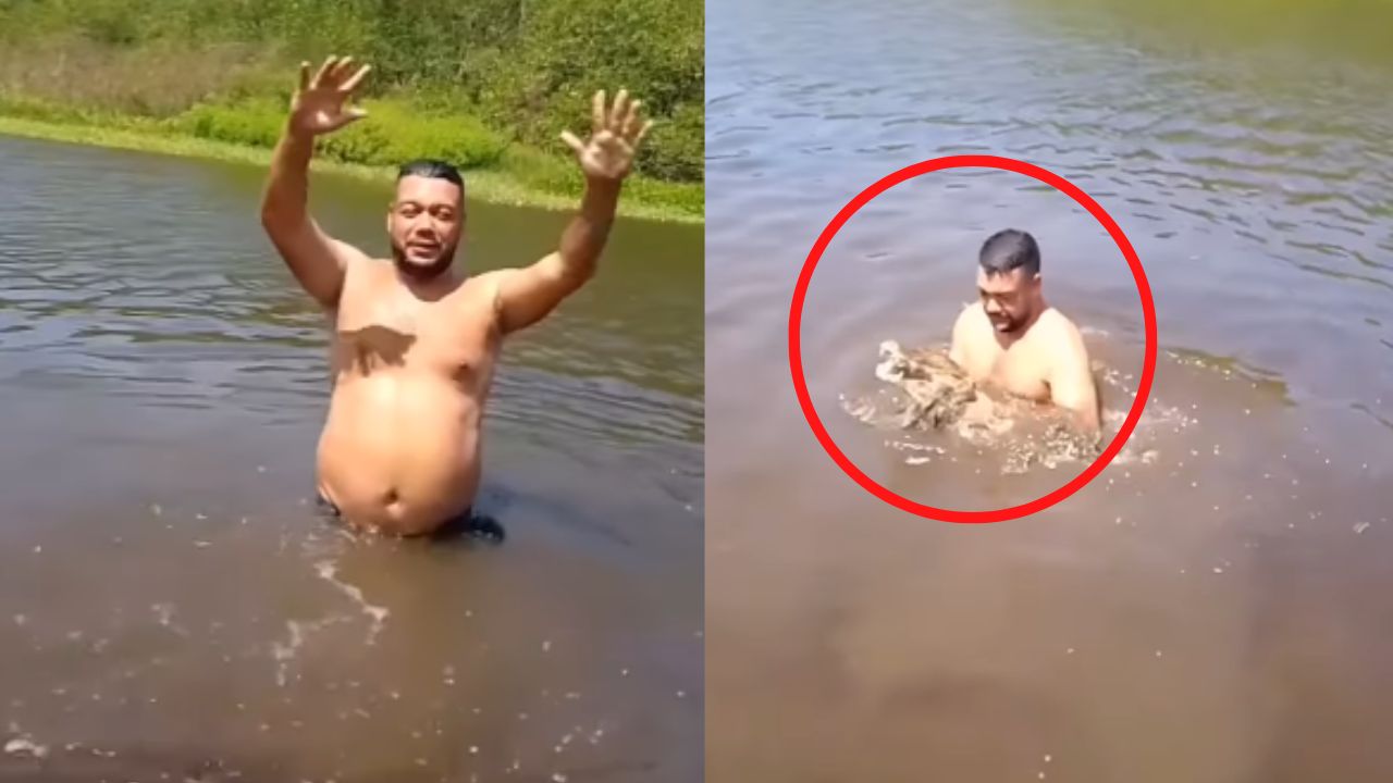 Crocodile attacked a man