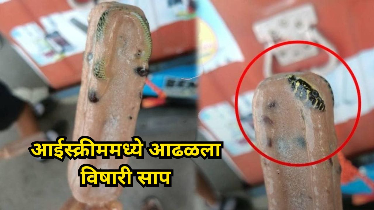 Snake spot in ice cream