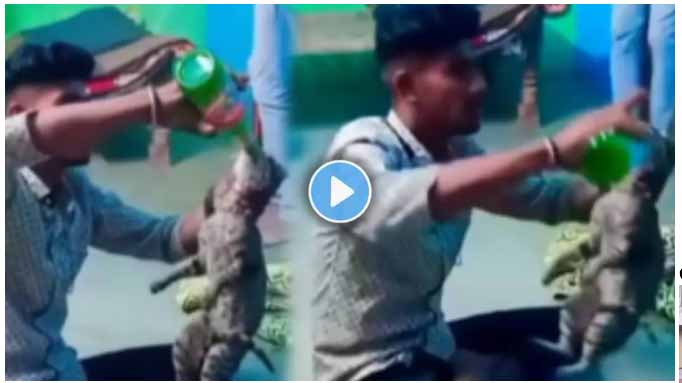 viral-video-drunk-young-man-also-drunk-a-cat-video-viral
